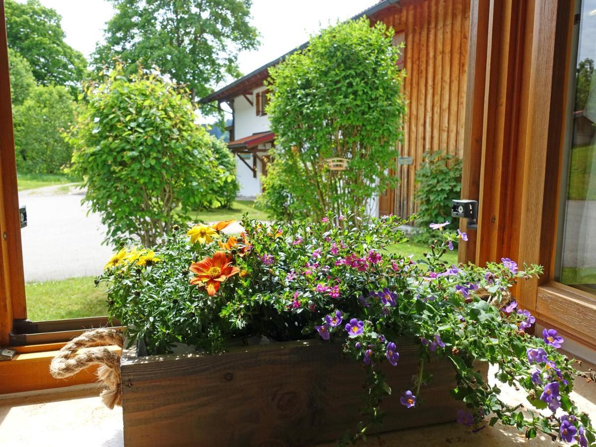 Ferienwohnung Murmeltier Sachrang Exteriör bild